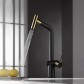 Золотий змішувач для кухні з висувним виливом Nett FG-44