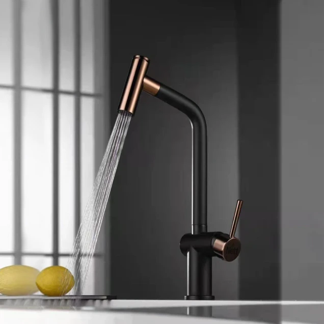 Черный смеситель для кухни с выдвижным изливом Nett FBG-44 фото