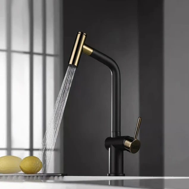 Золотий змішувач для кухні з висувним виливом Nett FG-44 фото