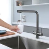 Смеситель для кухни с подключением к фильтру графитовый "Frosh" Nett FGr-33 фото №2